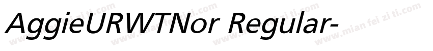 AggieURWTNor Regular字体转换